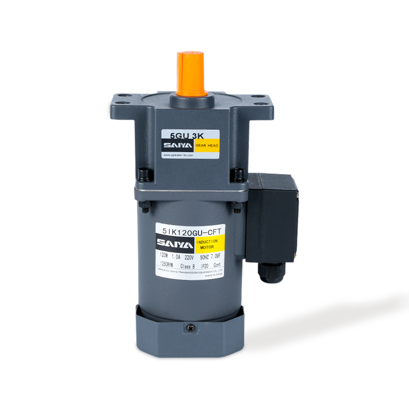 120W محركات AC Gear Motors